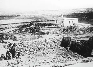 Tabor: The slopes of Mount Tabor, Israel