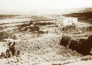 Tabor: The slopes of Mount Tabor, Israel