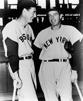 Dimaggio: Top Sluggers. Ted Williams of the Boston ?