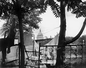 Slum: Slum during the Great Depression, 1937
