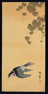 Grapevines: Small bird and grapes