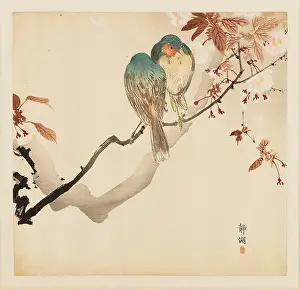 Koson: Two small birds on a blossoming branch