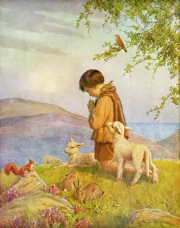 Prays: A small boy in dull clothes prays with animals
