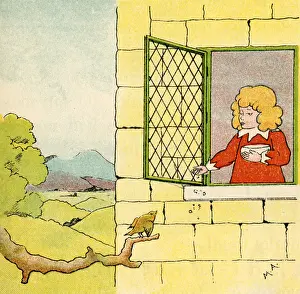 Feeds: Small child feeding the birds from his window