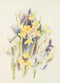 Demuth: SMALL DAFFODILS, by Charles Demuth, c. 1914, American