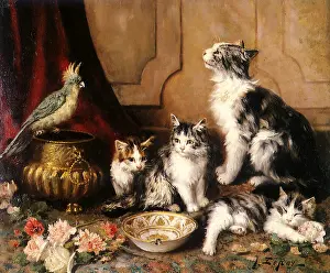 Leroy: A Small Family