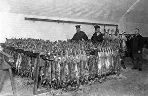 Cooling: Small game, 1935