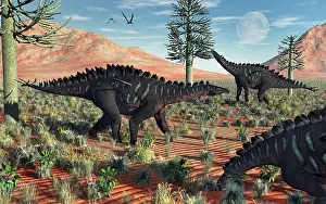 Longicollum: A small group of stegosaurid Miragaia dinosaurs