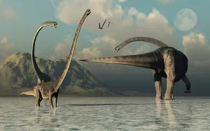 Shallow: A small herd of Omeisaurus dinosaurs
