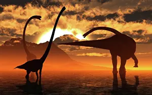 Shallow: A small herd of Omeisaurus dinosaurs silhouetted by the Sun