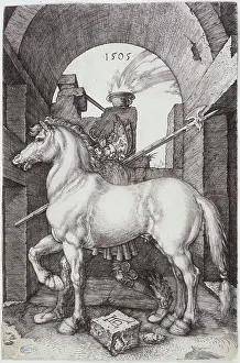 Halberd: The small horse