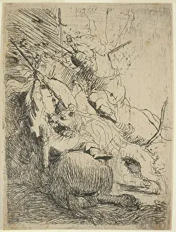 Harmensz: The small lion hunt