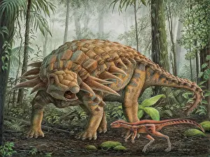 Ankylosaur: A small Orodromeus dinosaur tries to sneak by