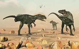 Defending: A small pack of Allosaurus dinosaurs