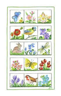 Ockenden: Fifteen small pictures of flowers and birds etc