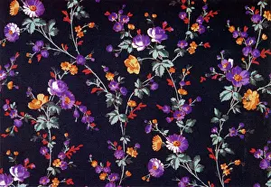 Stems: Small puple flowers grow off of long green stems