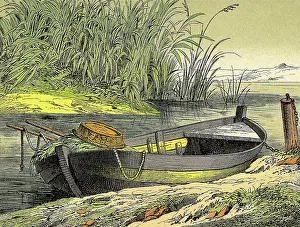 Rushes: Small Rowboat