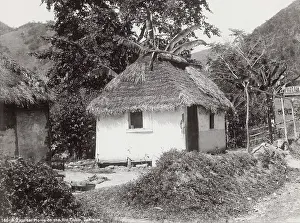 Cobre: Small thatched house on the Rio Cobre, Jamaica, West Indies