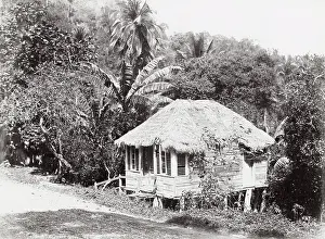 Cobre: Small thatched house on the Rio Cobre, Jamaica, West Indies