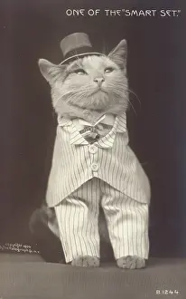 C1906: One of the smart set