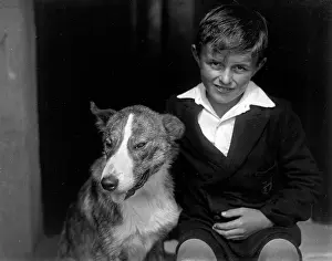 Barnabys: A smiling boy and his bull terrier dog