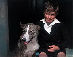 Barnabys: A smiling boy and his bull terrier dog