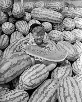 Bountiful: Smiling Boy Wearing Ball Cap Looking at Camera