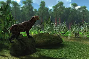 Eocene: A Smilodon cat roars to warn other males to leave his ?