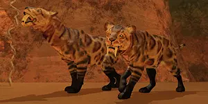 Sneaky: Two Smilodon cats find protection in a vast cave system