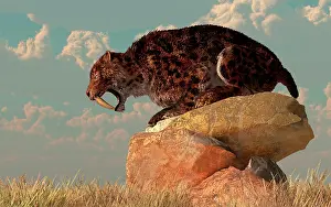Hissing: A Smilodon sits on a rock surrounded by golden fall fields