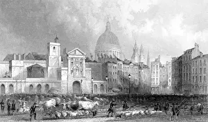 Smithfield: SMITHFIELD