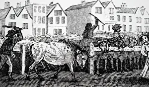 Smithfield: Smithfield cattle market