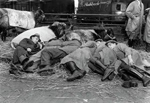 Snatching: Smithfield Fat Stock Show 1930