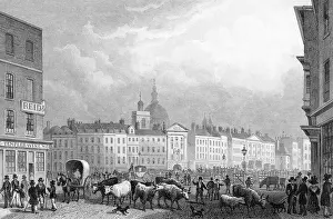 Smithfield: SMITHFIELD MARKET 1827