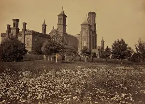Wildflowers: Smithsonian Institute, Washington, DC, north front, June 186