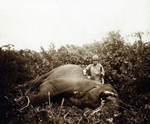 Meru: Smithsonian-Roosevelt African Expedition