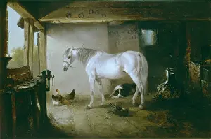 Smythe: The Smithy ' white horse, dog and chickens