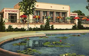Snack: Snack Stand and Lily Pond. Brookfield