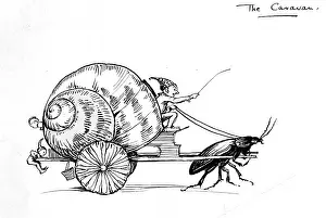 Caravans: Snail shell pulled by beetle