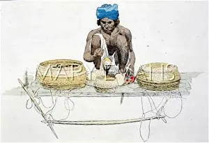 Tempts: SNAKE CHARMER / 1889