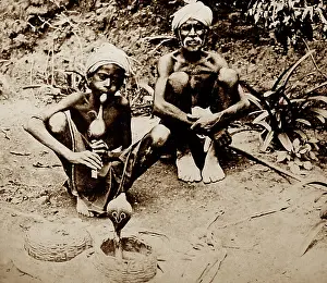 Charmer: Snake charmer, India