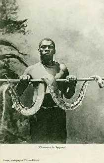 Charmer: Snake Charmer - Martinique