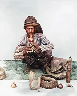 Reptiles: Snake charmer with snake, India