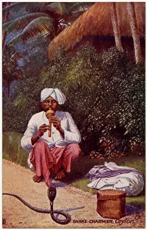 Hypnotising: Snake Charmer - Sri Lanka