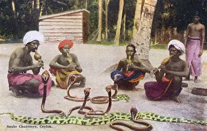 Charmers: SNAKE CHARMERS/CEYLON
