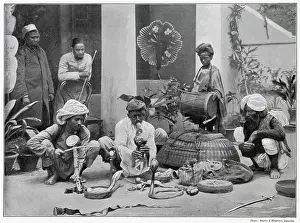 Snakes: Snake-Charmers in India