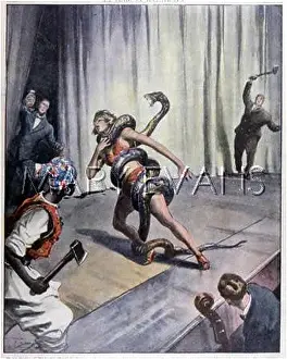 Speciality: SNAKE DANCER RESCUED
