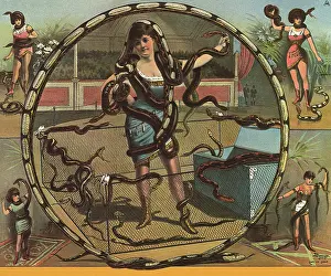 Handler: Snake Handler