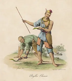 Handlers: SNAKE HANDLERS - CHINA
