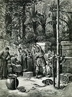 Merchants: Snake merchant in Central America